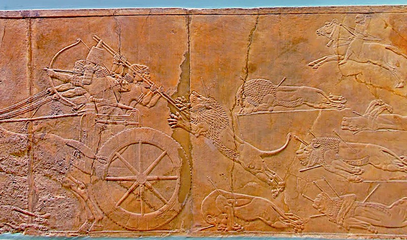 A section of The Lion Hunt of Ashurbanipal, British Museum